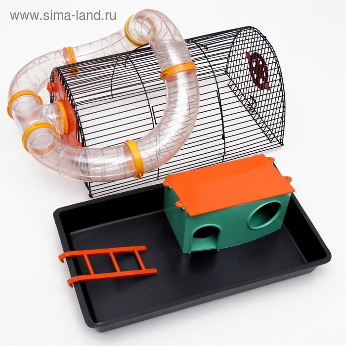 Клетка для грызунов Клетка для грызунов "Саквояж", малая, с лабиринтом, 40 х 25 х 21 см, микс цветов