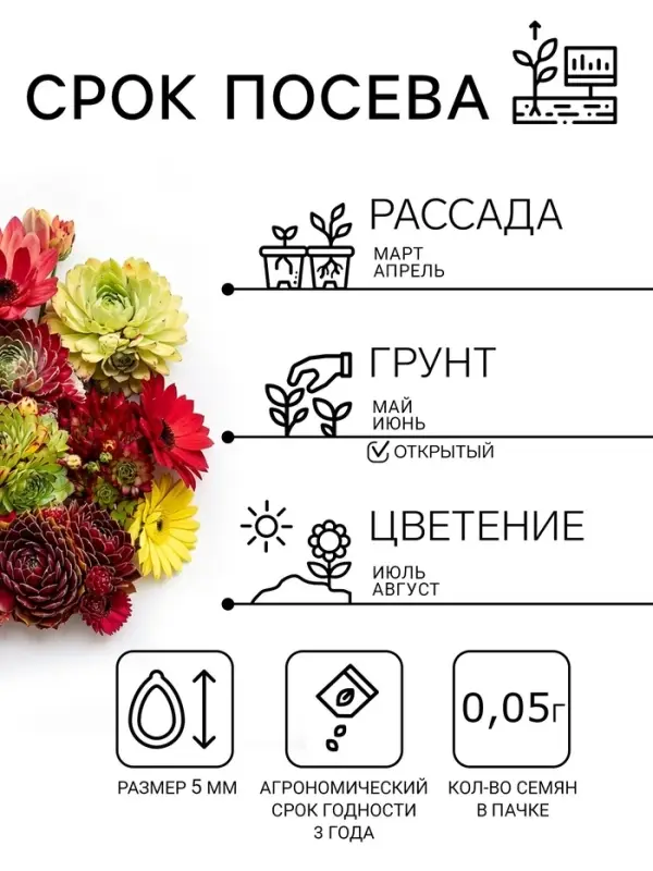 Семена цветов Молодило &laquo;Каменная Роза&raquo;, 0.01 г, &laquo;Гавриш&raquo;