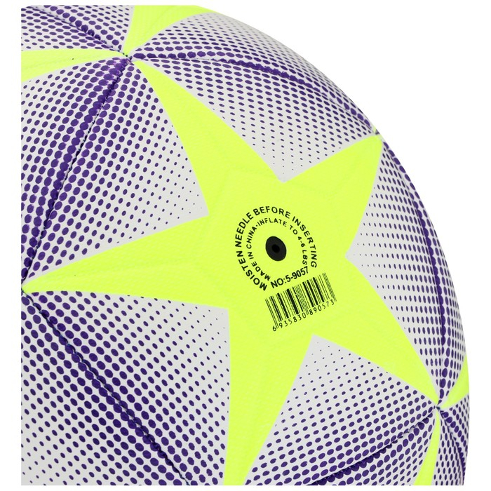 Футбольный мяч MINSA, машинная сшивка, 12 панелей, р. 5, TPE Футбольный мяч MINSA, машинная сшивка, 12 панелей, р. 5, TPE