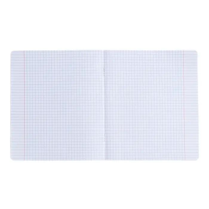 Тетрадь 18 листов в клетку "Капибара", обложка мелованный картон, ВД-лак, блок 60 г/м2, 5 видов, МИКС