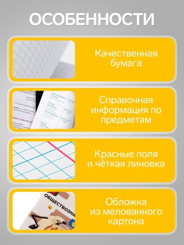 Предметная тетрадь по обществознанию Calligrata &laquo;Животные мемы&raquo;, 36 листов, в клетку, со справочным материалом, обложка из мелованной бумаги