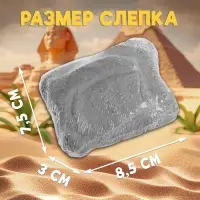 Раскопки &laquo;Сокровища Египта&raquo;