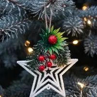 Ёлочная игрушка &laquo;Зимнее волшебство. Звезда, ягодки на ветке&raquo; пластик, 10&times;10 см, белый