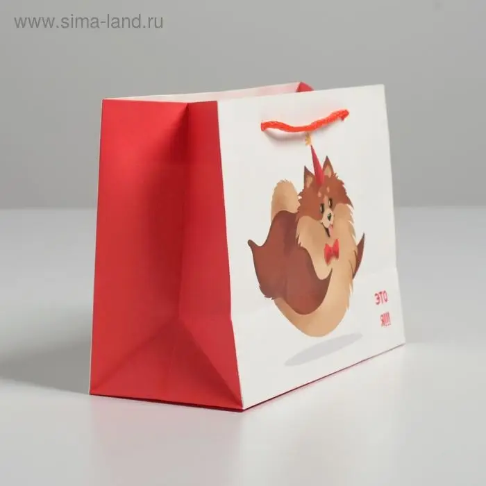 Пакет подарочный, упаковка, «Лучший подарочек», 14,5 х 19,5 х 8,5 см