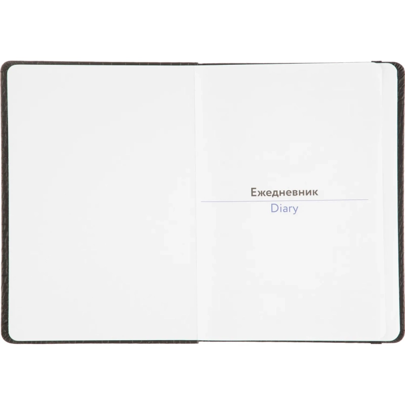 Ежедневник недатированный черный, рептилия, А5 136 л., ATTACHE