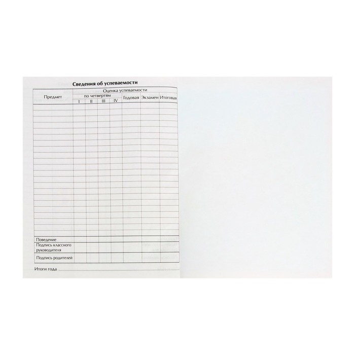 Дневник школьный для 1-11 классов, «Девочка со скейтом», твёрдая обложка 7БЦ, глянцевая ламинация, 40 листов Дневник школьный для 1-11 классов, «Девочка со скейтом», твёрдая обложка 7БЦ, глянцевая ламинация, 40 листов