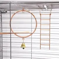 Клетка для птиц &laquo;Пижон&raquo; №104-Б, разборная, 58&times;40&times;65.4 см, 2 секции, бежевая