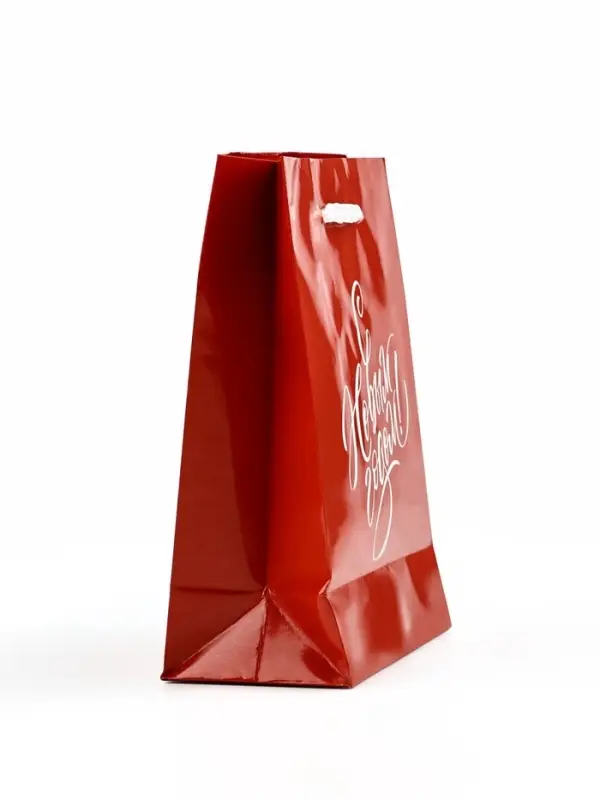 Пакет подарочный новогодний ламинированный «С Новым годом», S 15 х 12 х 5.5 см Пакет подарочный новогодний ламинированный «С Новым годом», S 15 х 12 х 5.5 см