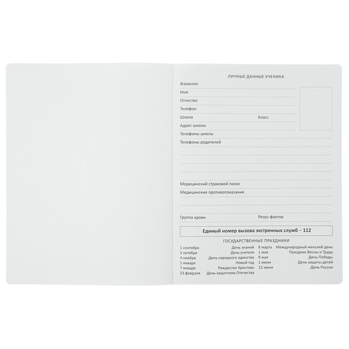 Дневник универсальный для 1-11 классов &laquo;Герб&raquo;, твёрдая обложка, искусственная кожа, тиснение фольгой, ляссе, 48 листов