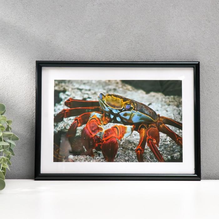 Фоторамка формат А4 21х30 см 45-N (Ф) черная (пластиковый экран) Фоторамка формат А4 21х30 см 45-N (Ф) черная (пластиковый экран)