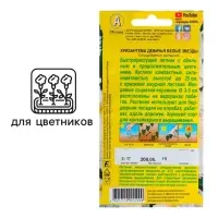 Семена  цветов Хризантема девичья "Белые Звезды". О, 0,05 г