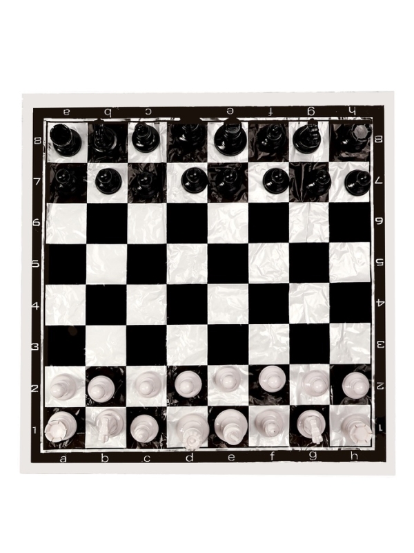 Шахматы 50 х 50 см, король h-9.8 см, d-4.2 см, фигуры пластик Шахматы 50 х 50 см, король h-9.8 см, d-4.2 см, фигуры пластик