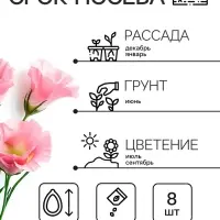 Семена цветов Эустома &laquo;Супер Мэджик&raquo;, F1, смесь, 8 шт., DARIT, &laquo;Агроуспех&raquo;