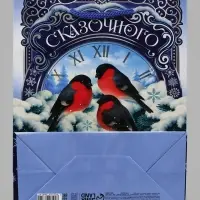Пакет ламинированный &laquo;Сказочного года &raquo;, MS 18 &times; 23 &times; 8 см