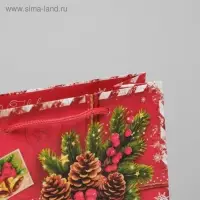 Пакет подарочный новогодний ламинированный &laquo;Подарок от Деда Мороза&raquo;, MS 18 х 23 х 11.5 см