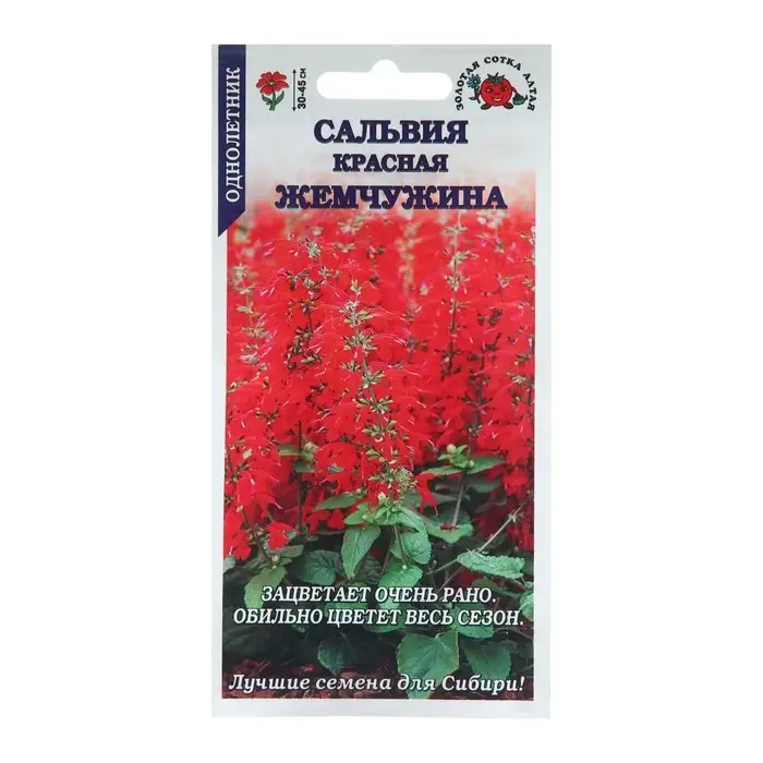 Семена цветов Сальвия  Семена цветов Сальвия "Красная Жемчужина", 0,1 г