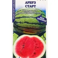 Семена Арбуз &laquo;Старт&raquo;, 5 шт., ультраскороспелый, полосатый &laquo;Золотая Сотка Алтая&raquo;