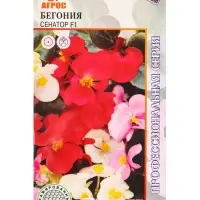 Семена Бегония "Сенатор" F1 15 шт Семена Бегония "Сенатор" F1 15 шт