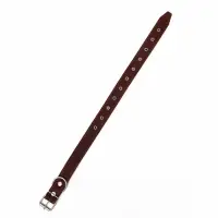 Ошейник кожаный на синтепоне, безразмерный, 71&times;3.5 см, ОШ 29-62 см, коричневый