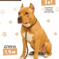Ринговка для собак, 150&times;1 см, бежевая
