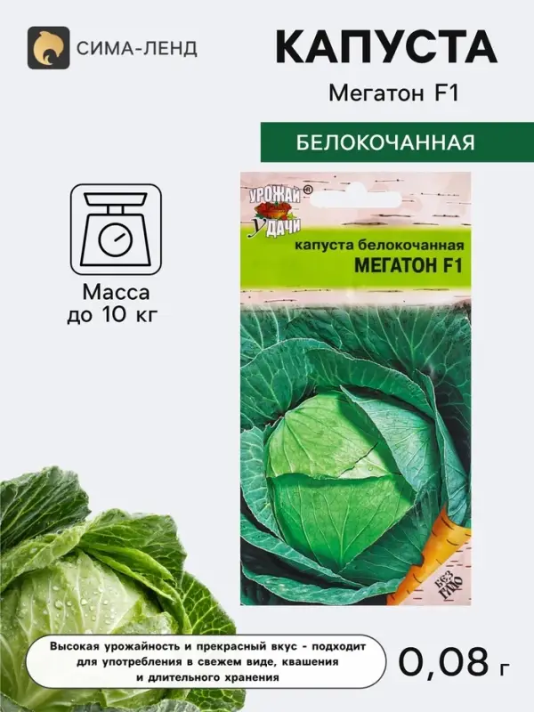 Семена Капуста белокочанная &laquo;Мегатон&raquo;, F1, 0.08 г