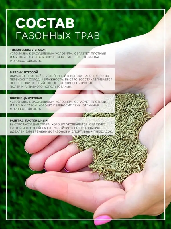 Газонная травосмесь &laquo;Гринкипер&raquo; &laquo;Игровая&raquo;, 5 кг