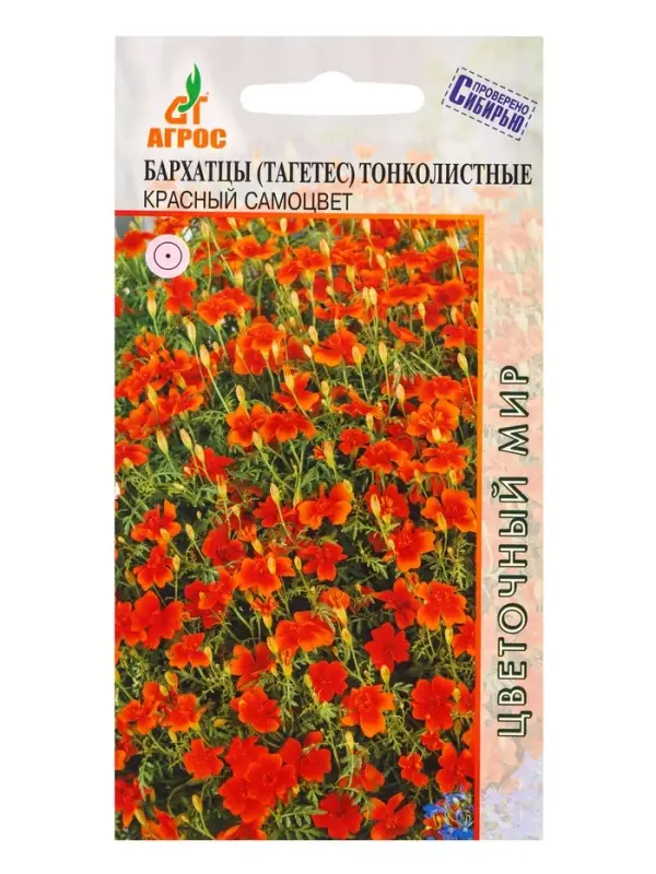 Семена Бархатцы Красный самоцвет тонколистный 0,1 г Семена Бархатцы Красный самоцвет тонколистный 0,1 г