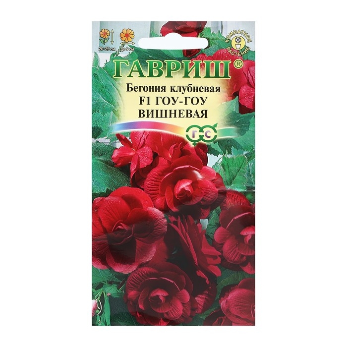 Семена комнатных цветов Бегония  Семена комнатных цветов Бегония "Гоу-гоу", ц/п,  вишневая, F1, 4 шт.