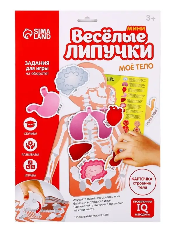 Игра на липучках &laquo;Моё тело&raquo;, анатомия