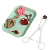 Набор для опытов по анатомии &laquo;Строение тела&raquo;, светится в темноте, с мягкими органами