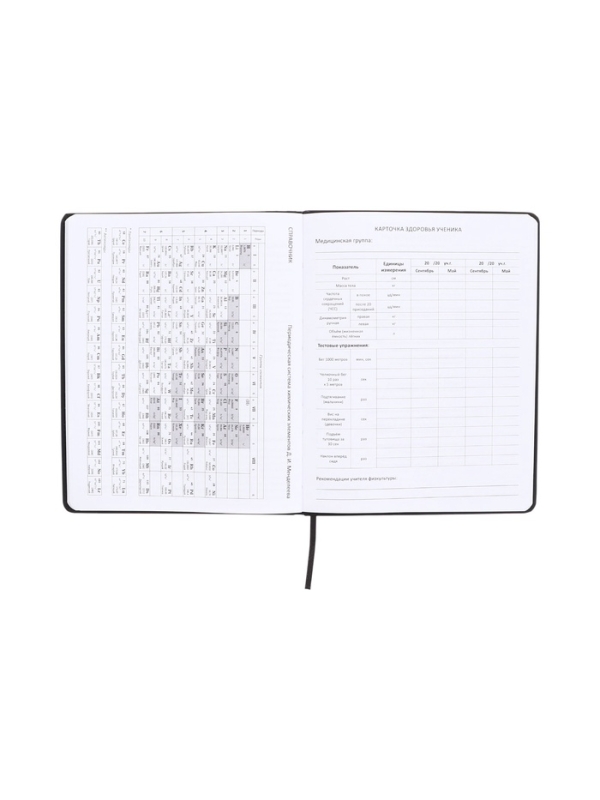 Дневник школьный 1-11 класс, deVENTE. No Disturb Mode, искусственная кожа, шелкография