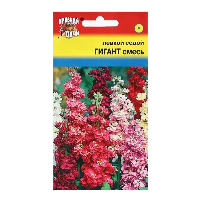 Семена цветов Левкой Семена цветов Левкой "ГИГАНТ", Смесь, 0,05 г