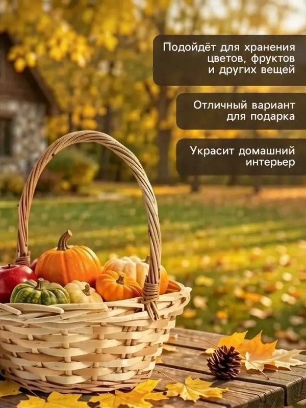 Корзина плетёная для хранения, 25&times;25&times;18 см, ручка h=8 см, лоза, натуральная