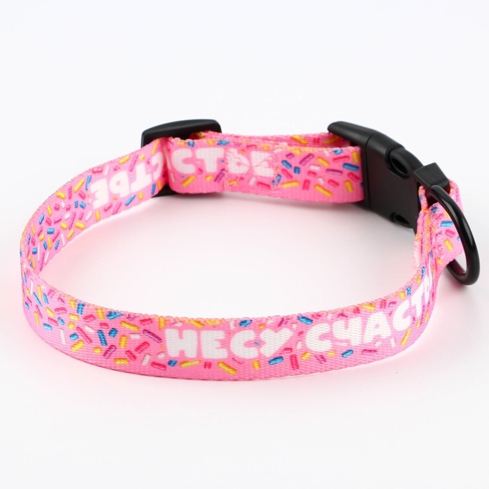 Ошейник «Несу счастье», застёжка - фастекс, 2 см 25-40 см Ошейник «Несу счастье», застёжка - фастекс, 2 см 25-40 см