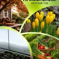 Средство от насекомых и вредителей &laquo;Метаризин&raquo;, 900 г