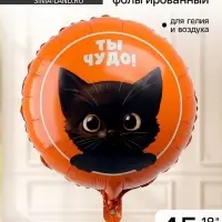 Воздушные шары фольгированные 18 &laquo;Котик. Ты чудо&raquo;, 5 шт.