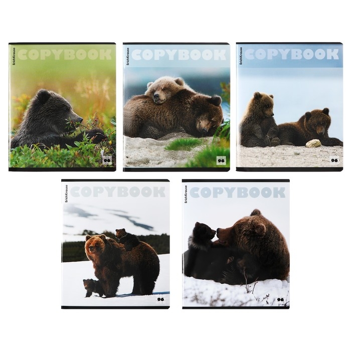 Тетрадь 96 листов в клетку, ErichKrause Тетрадь 96 листов в клетку, ErichKrause "Медведи", обложка мелованный картон, глянцевая ламинация, блок офсет 100% белизна, МИКС