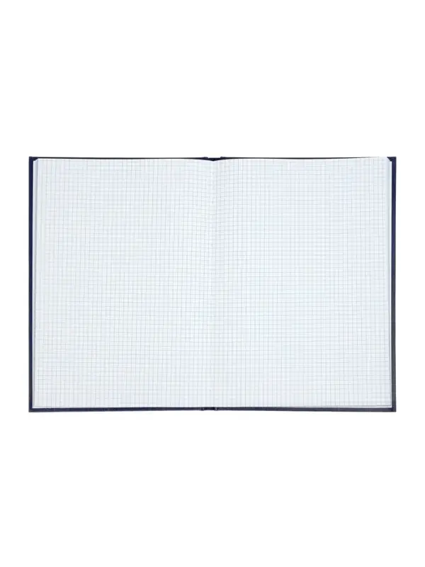 Книга учета А4, 128 листов, клетка, 200&times;290 мм, бумвинил, синий, блок офсетный