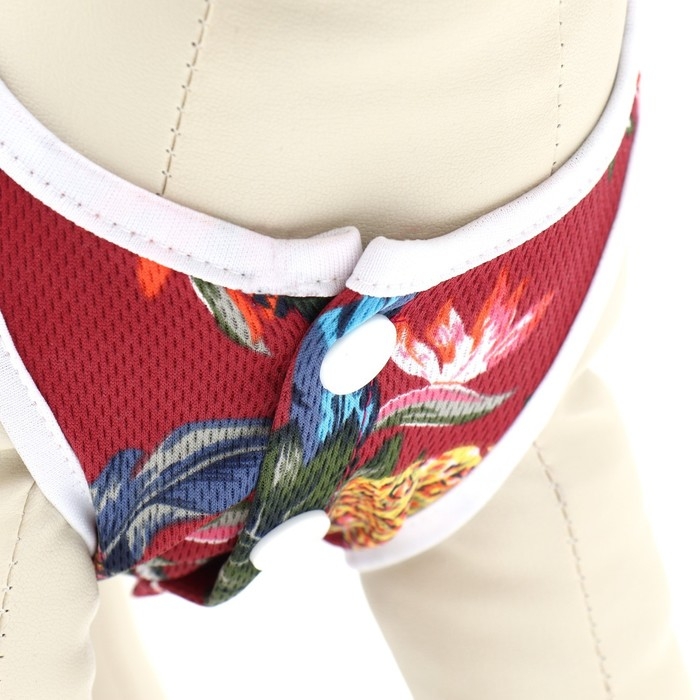 Платье для животных "Тропики», XS (ДС 20, ОГ 30 см), красное