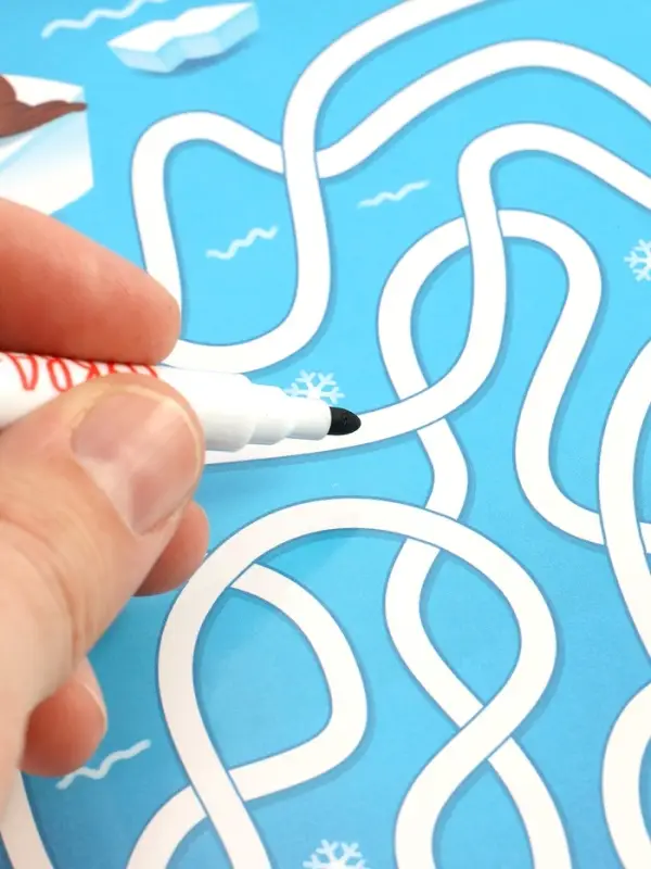 Книга Книга "Многоразовые лабиринты", с маркером