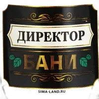Кружка пивная стеклянная &laquo;Директор бани&raquo;, 500 мл