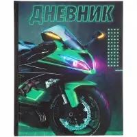Дневник школьный для 1-4 классов, &laquo;Байк&raquo;, твёрдая обложка 7БЦ, матовая ламинация, 48 листов