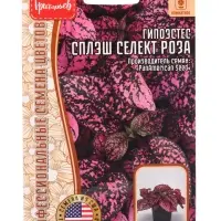 Семена цветов Гипоэстес Сплэш Селект Роза (Splash Select Rose) (PanAmerican Seed) 4шт.  12.29 г. 109
