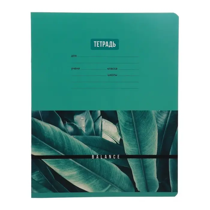 Тетрадь 18 листов в линию Тетрадь 18 листов в линию "Девочки", обложка мелованный картон, блок офсет, МИКС