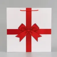 Пакет подарочный квадратный Red, 40&times;40&times;40 см