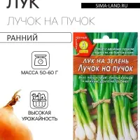 Семена Лук на зелень &laquo;Лучок на пучок&raquo;, 0.5 г, &laquo;Аэлита&raquo;