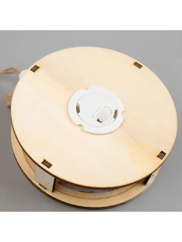 Ёлочная игрушка &laquo;Шар с веткой&raquo;, 10&times;10&times;2 см, от батареек, свечение тёплое белое