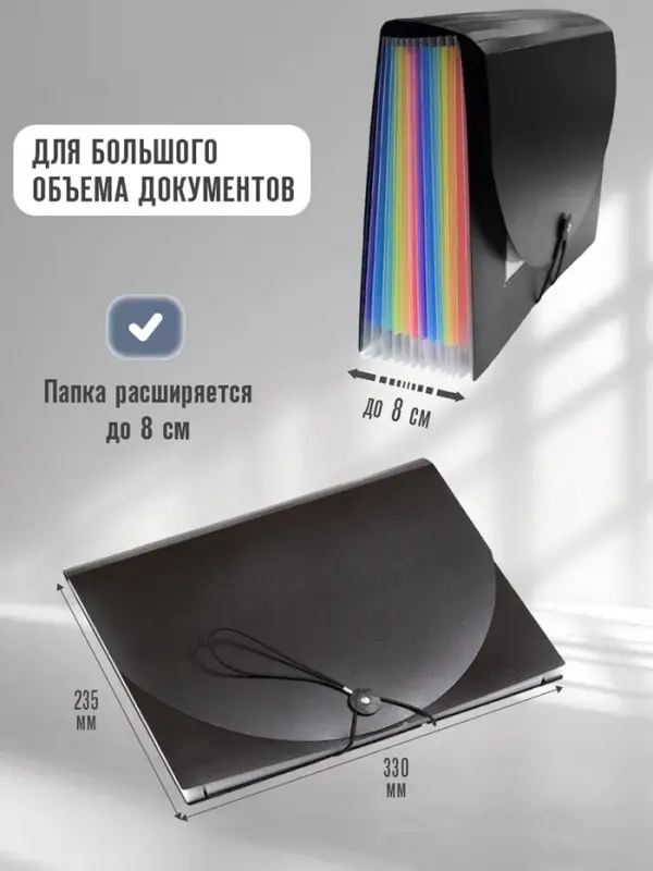 Папка 12 отделений, А4, с цветными разделителями, черная