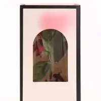 Фигурка с подсветкой &laquo;Роза в колбе&raquo; 8.5&times;8.5&times;15 см, 2хAG13, NL780