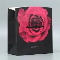 Пакет—коробка, подарочная упаковка, «Beautiful», 23 х 18 х 11 см